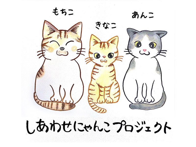 Blog-post 猫グッズとキット販売